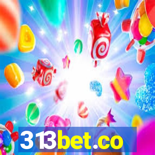 313bet.co