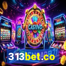 313bet.co