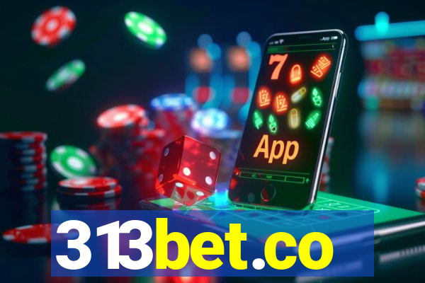 313bet.co