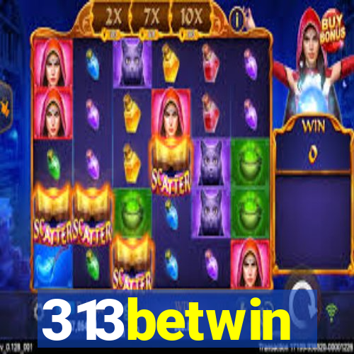 313betwin