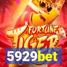 5929bet