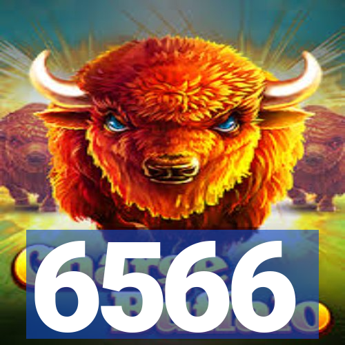 6566