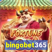 bingobet365