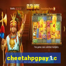 cheetahpgpay1.com