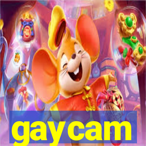 gaycam