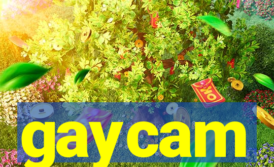 gaycam