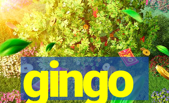 gingo