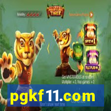 pgkf11.com