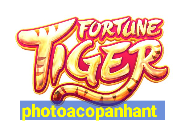 photoacopanhante