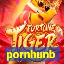 pornhunb