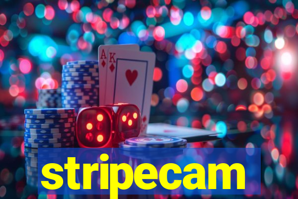 stripecam