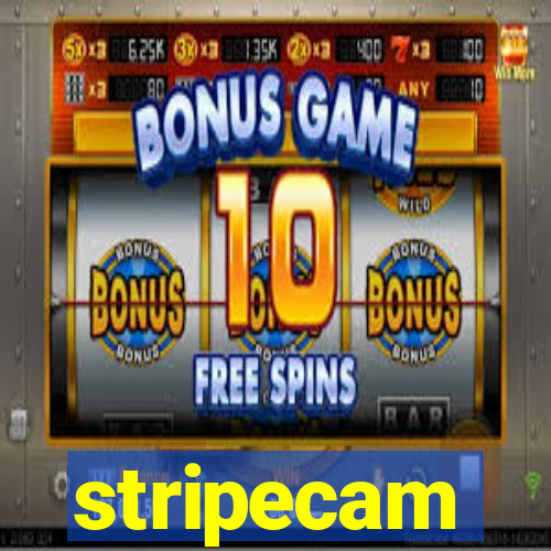 stripecam