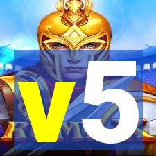 v5-lewa.com