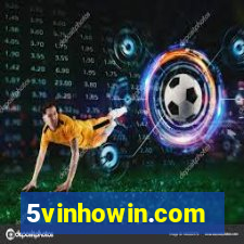 5vinhowin.com