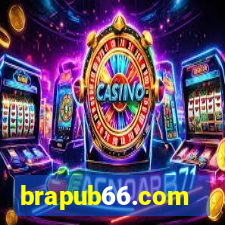 brapub66.com