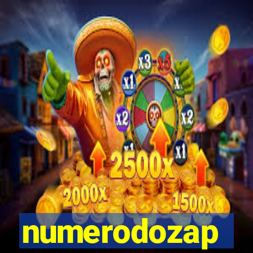 numerodozap