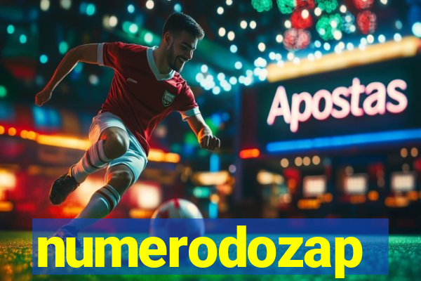 numerodozap