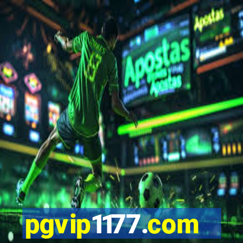 pgvip1177.com