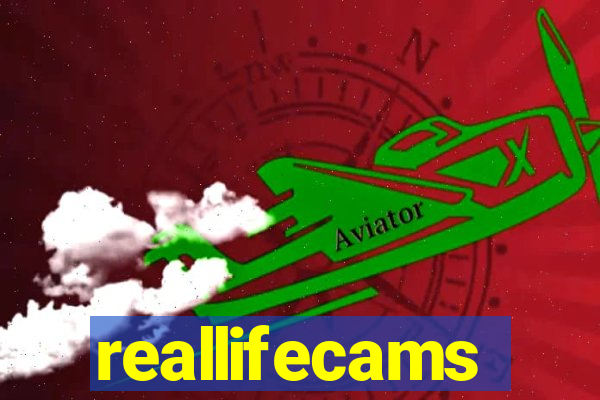 reallifecams