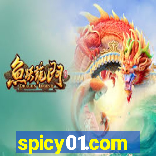 spicy01.com