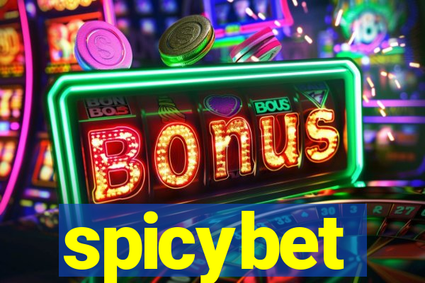 spicybet-4.com