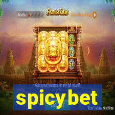 spicybet-5.com