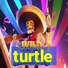 turtle-ty.com