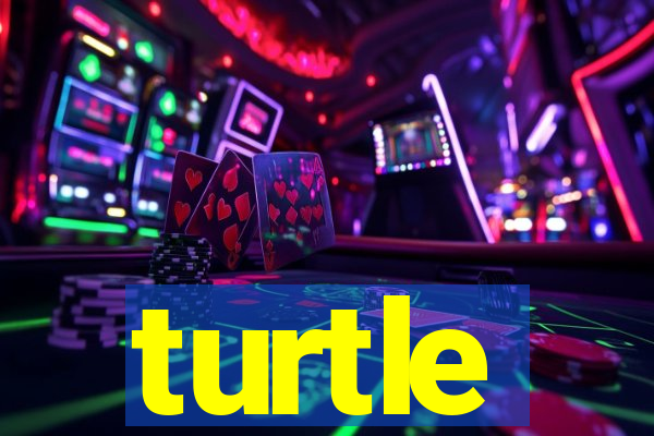 turtle-ty.com