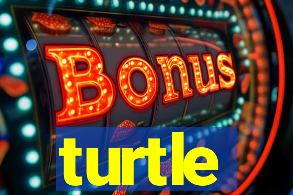turtle-ty.com